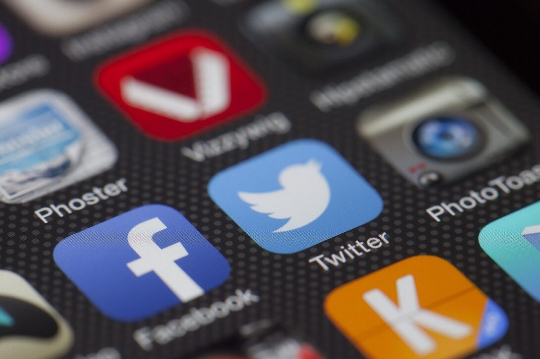 Political polarisation on social media: do birds of a feather flock together on Twitter?